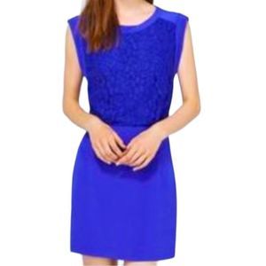 Wilfred free dress size 4